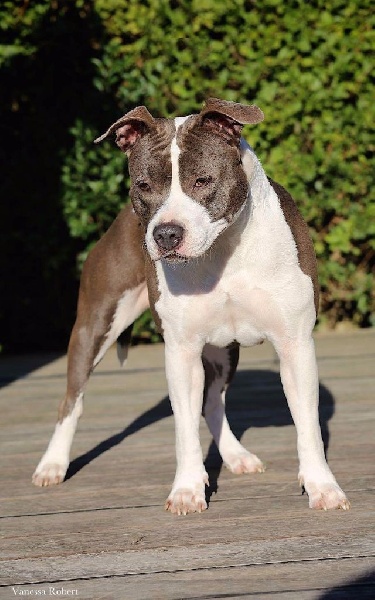 Pacific blue sky Lexy